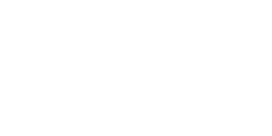 まっとうが勝てる世の中を作る。コンサル＋実行力で事業推進を加速。