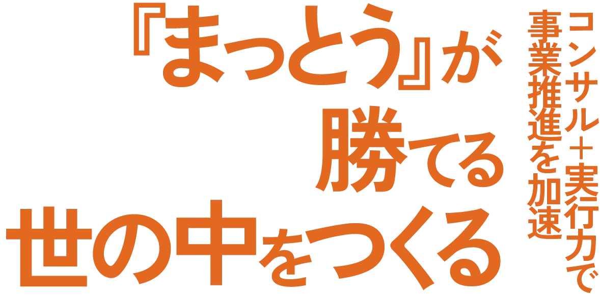 まっとうが勝てる世の中を作る。コンサル＋実行力で事業推進を加速。